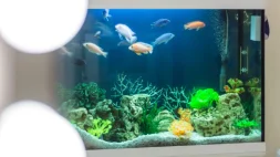 Салон красоты Стиль био на улице Мастеркова изображение 12